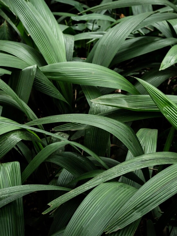 header-img03